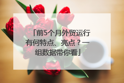 前5个月外贸运行有何特点、亮点？一组数据带你看